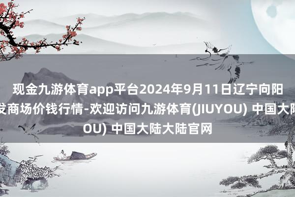 现金九游体育app平台2024年9月11日辽宁向阳市果菜批发商场价钱行情-欢迎访问九游体育(JIUYOU) 中国大陆大陆官网