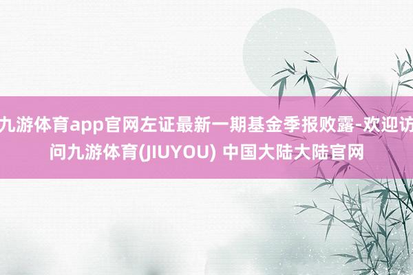 九游体育app官网左证最新一期基金季报败露-欢迎访问九游体育(JIUYOU) 中国大陆大陆官网